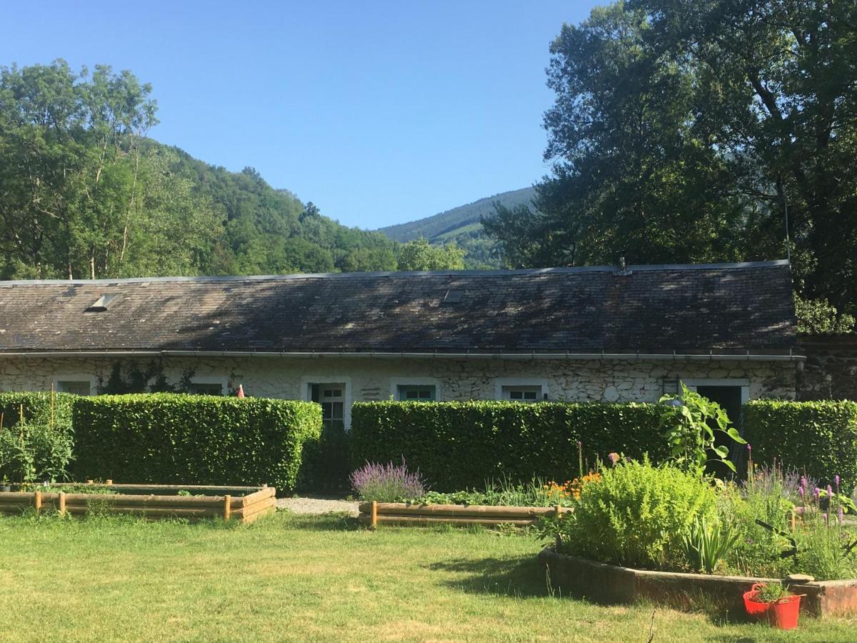 Libellule Hébergement de vacances Aleu