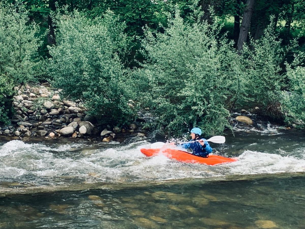 Libellule Hébergement de vacances