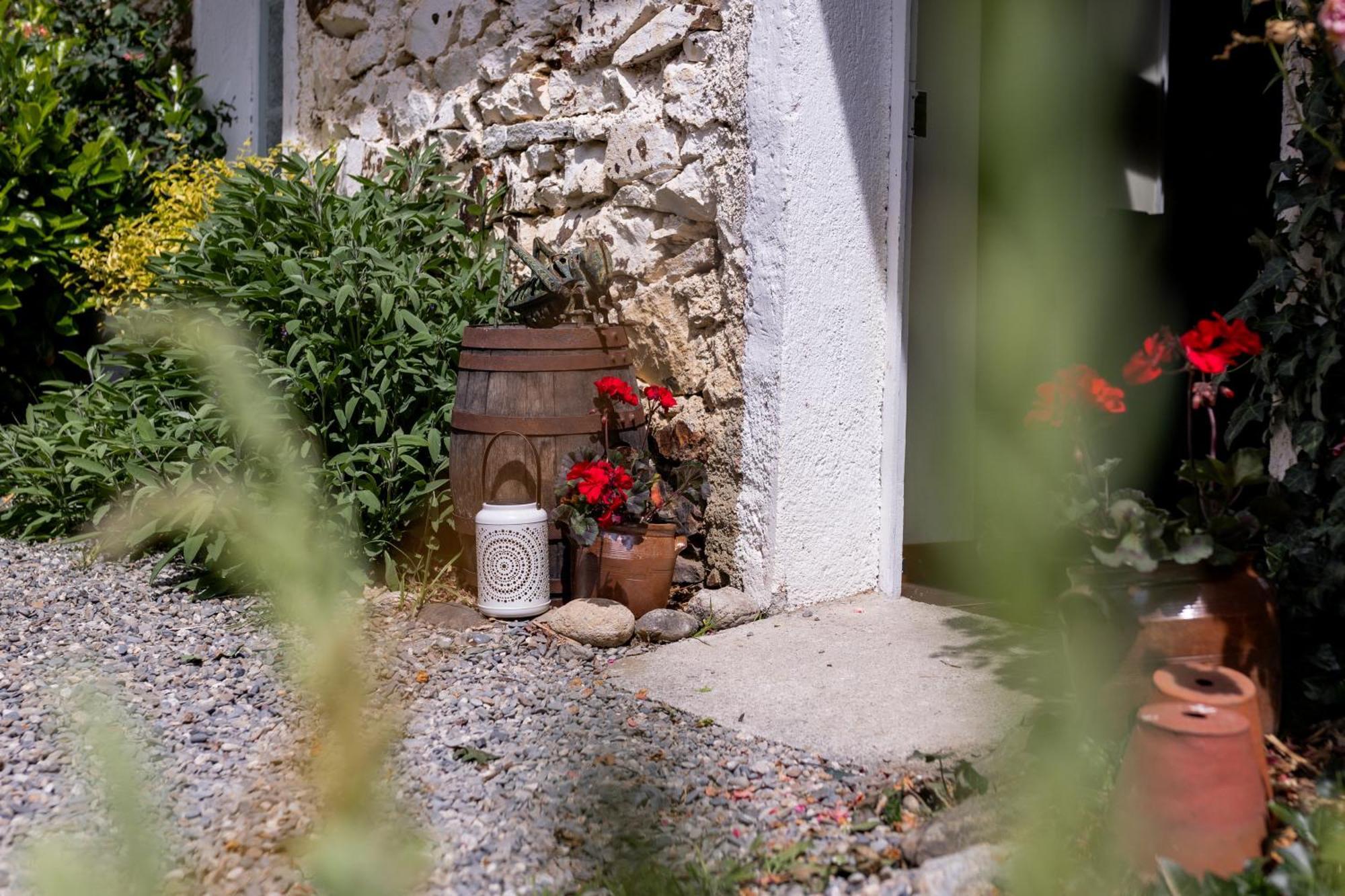 Libellule Hébergement de vacances Aleu